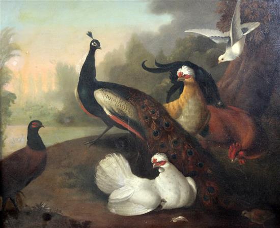 Follower Marmaduke Craddock (1660-1717) Peacock and exotic poultry in a landscape 24.5 x 29.5in.
